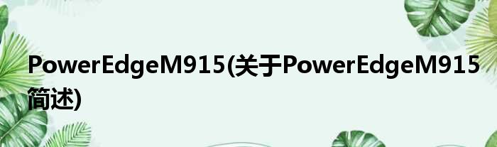 PowerEdgeM915(对于PowerEdgeM915简述)