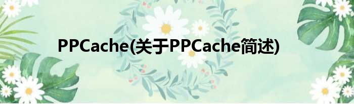 PPCache(对于PPCache简述)