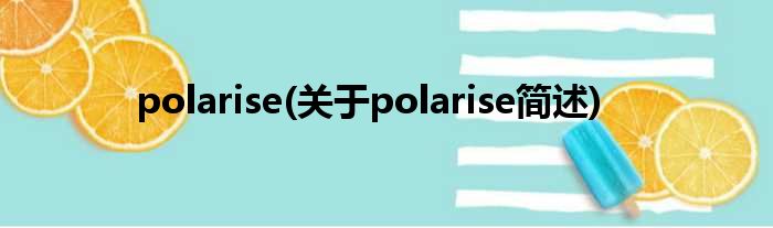 polarise(对于polarise简述)
