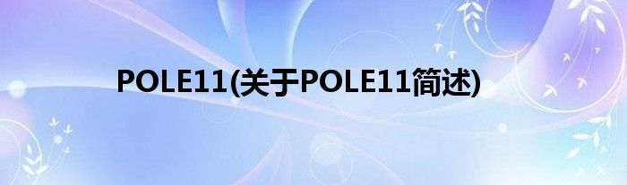 POLE11(对于POLE11简述)