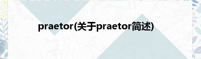praetor(对于praetor简述)