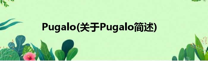Pugalo(对于Pugalo简述)