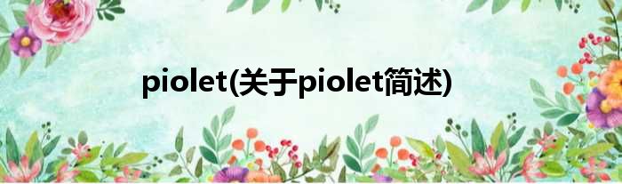 piolet(对于piolet简述)