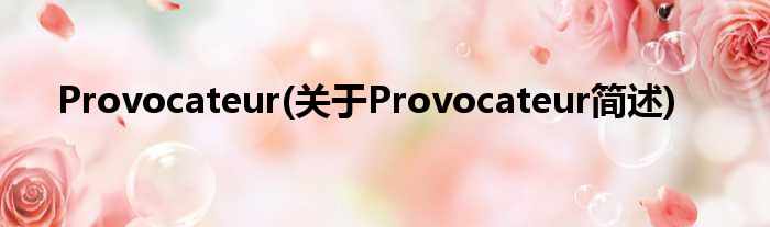 Provocateur(对于Provocateur简述)