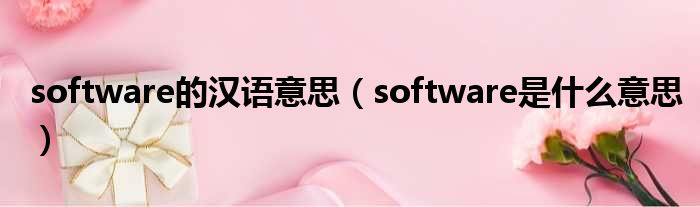 software的汉语意思（software是甚么意思）