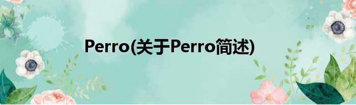 Perro(对于Perro简述)