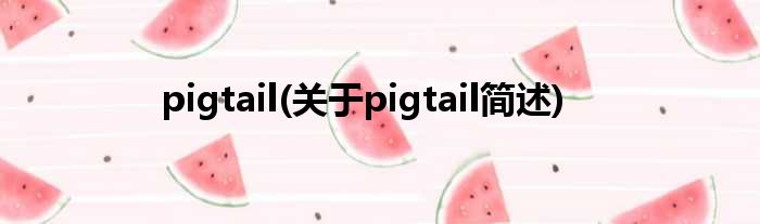 pigtail(对于pigtail简述)