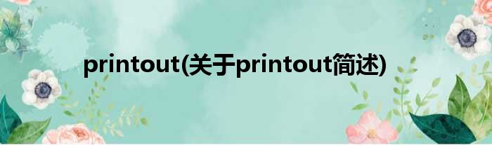 printout(对于printout简述)