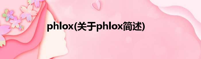phlox(对于phlox简述)