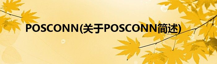 POSCONN(对于POSCONN简述)
