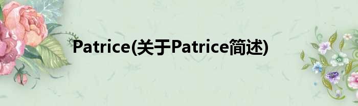 Patrice(对于Patrice简述)