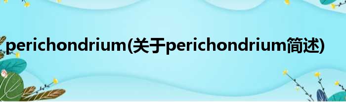 perichondrium(对于perichondrium简述)