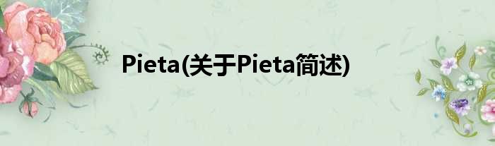 Pieta(对于Pieta简述)