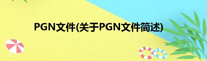 PGN文件(对于PGN文件简述)