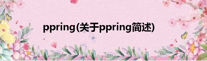 ppring(对于ppring简述)