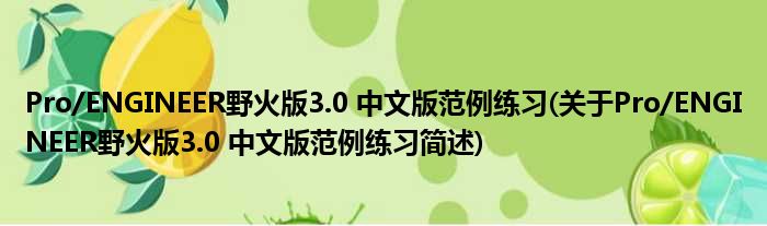 Pro/ENGINEER野火版3.0 中文版典型实习(对于Pro/ENGINEER野火版3.0 中文版典型实习简述)