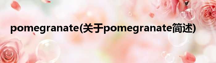 pomegranate(对于pomegranate简述)