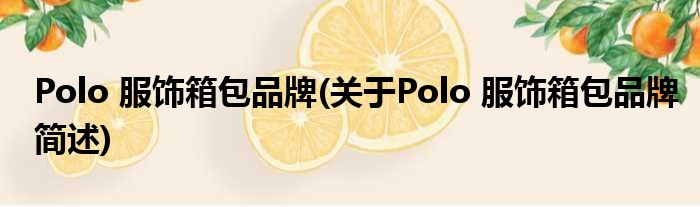 Polo 服饰箱包品牌(对于Polo 服饰箱包品牌简述)