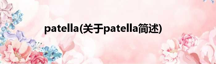 patella(对于patella简述)