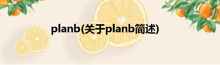 planb(对于planb简述)