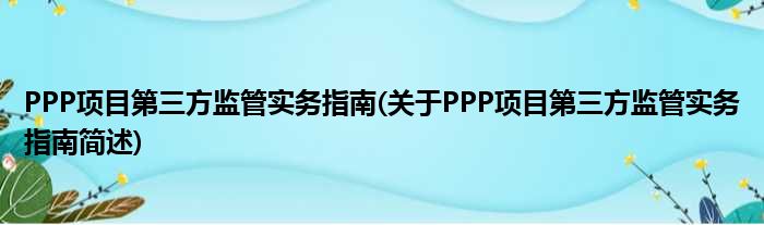 PPP名目第三方监管实务指南(对于PPP名目第三方监管实务指南简述)