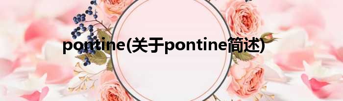 pontine(对于pontine简述)