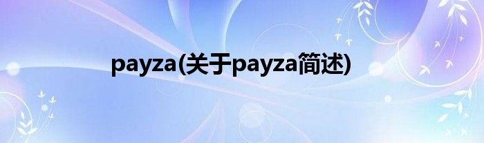payza(对于payza简述)