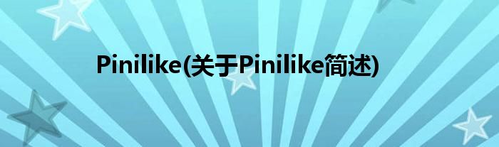 Pinilike(对于Pinilike简述)