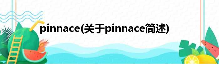 pinnace(对于pinnace简述)