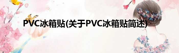 PVC冰箱贴(对于PVC冰箱贴简述)