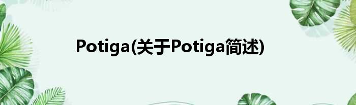 Potiga(对于Potiga简述)