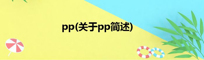 pp(对于pp简述)