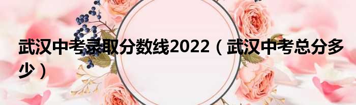 武汉中登科选分数线2022（武汉中考总分多少多）