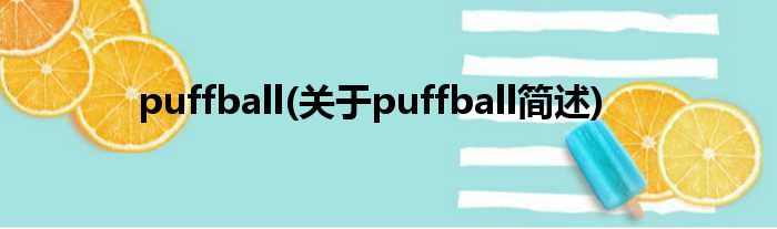 puffball(对于puffball简述)