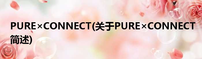 PURE×CONNECT(对于PURE×CONNECT简述)