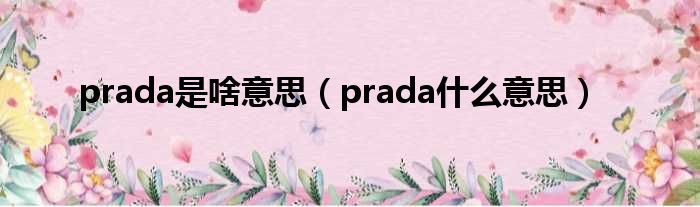 prada是啥意思（prada甚么意思）
