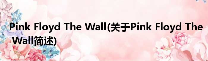 Pink Floyd The Wall(对于Pink Floyd The Wall简述)