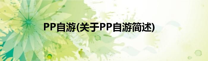 PP自游(对于PP自游简述)