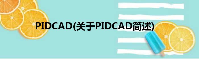 PIDCAD(对于PIDCAD简述)