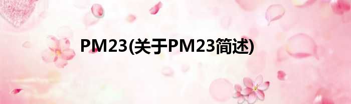 PM23(对于PM23简述)