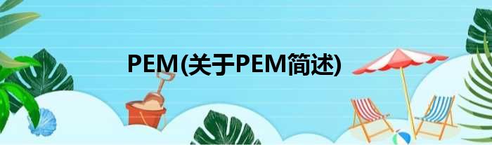 PEM(对于PEM简述)