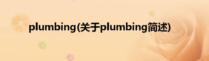 plumbing(对于plumbing简述)