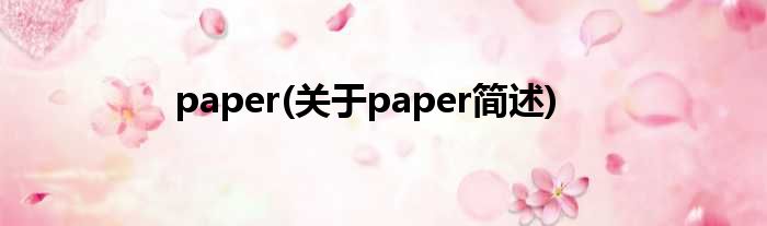 paper(对于paper简述)
