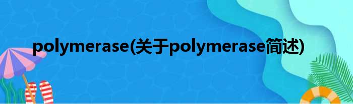 polymerase(对于polymerase简述)