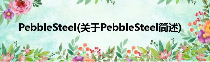 PebbleSteel(对于PebbleSteel简述)