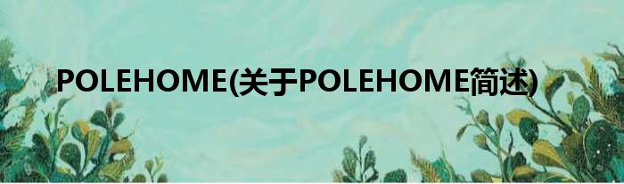 POLEHOME(对于POLEHOME简述)