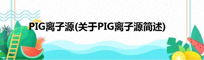 PIG离子源(对于PIG离子源简述)