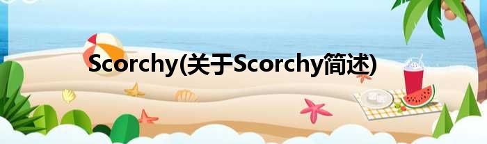 Scorchy(对于Scorchy简述)