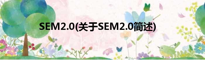SEM2.0(对于SEM2.0简述)