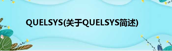 QUELSYS(对于QUELSYS简述)